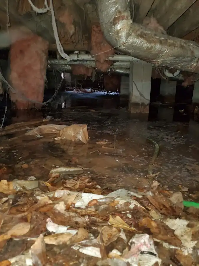 Crawl space flood assessment for Leak Detection & Repair in Tichigan