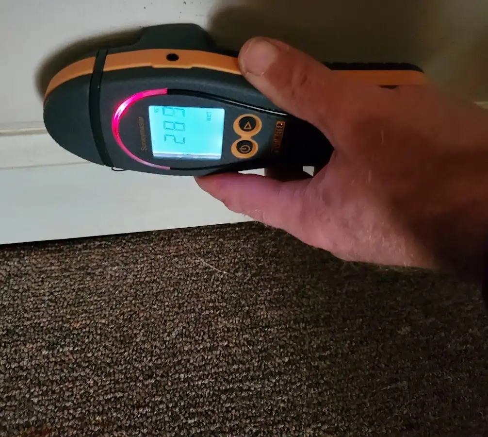 Moisture detection at baseboard during Sewage Cleanup & Sanitation in Tichigan